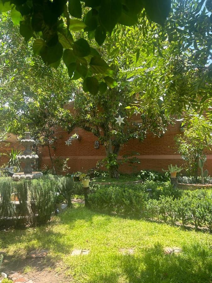 Casa Matia Bed And Breakfast Сан-Міґель-де-Альєнде Екстер'єр фото